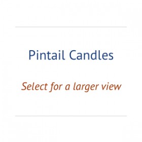 00_pintail-candles_holder
